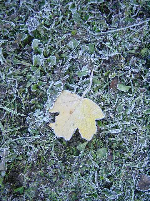 Picture 027.jpg